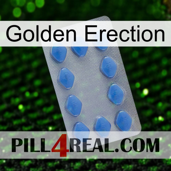 Golden Erection 21.jpg